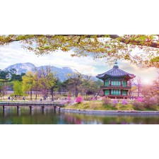 NAMI ISLAND - EVERLAND PARK - HERO SHOW - FRUIT HARVEST