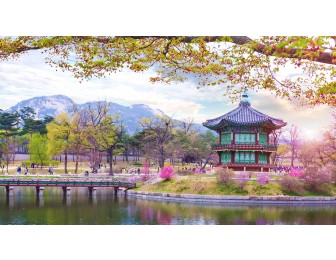 NAMI ISLAND - EVERLAND PARK - HERO SHOW - FRUIT HARVEST