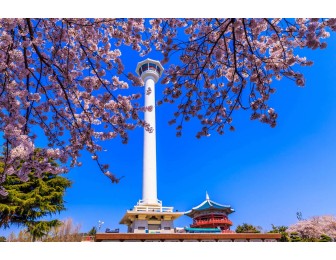 Tour Du Lịch Hàn Quốc 5 Ngày 5 Đêm: Busan - Seoul