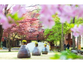 서울출발 데일리 투어 서울-남이섬-에버랜드